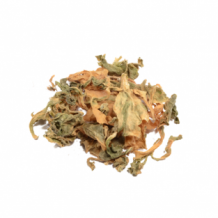 Sceletium tortuosum bladeren - Kanna